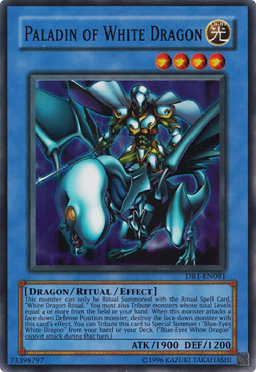 Paladin of White Dragon