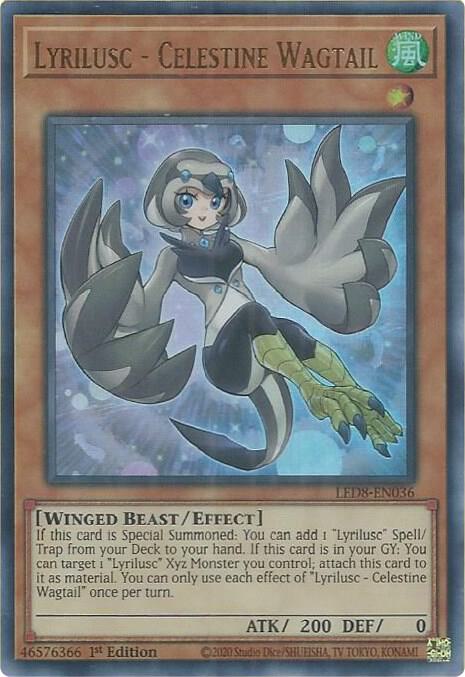 Lyrilusc - Celestine Wagtail