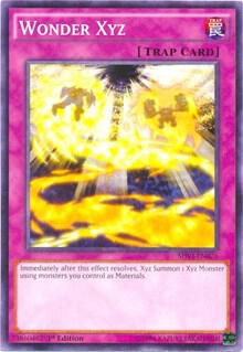 Wonder Xyz
