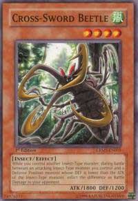 Cross-Sword Beetle