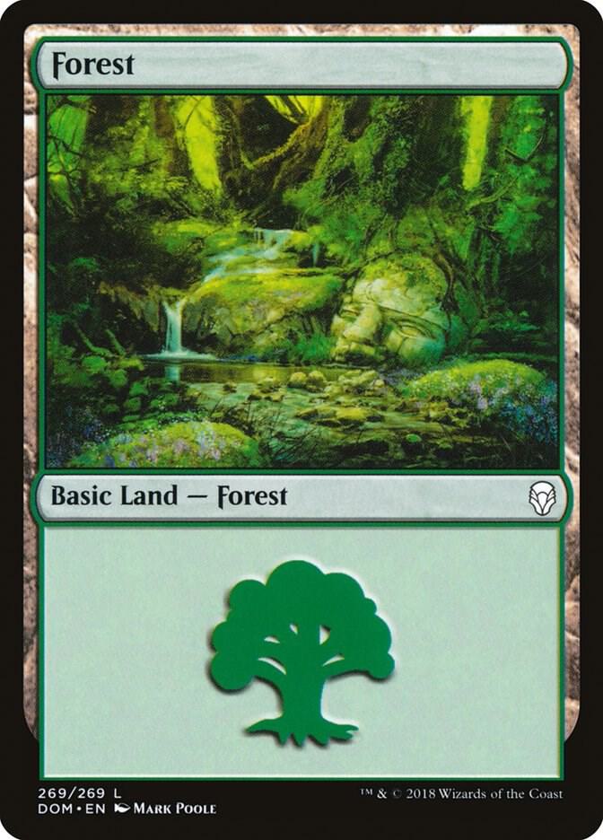 Forest (269)