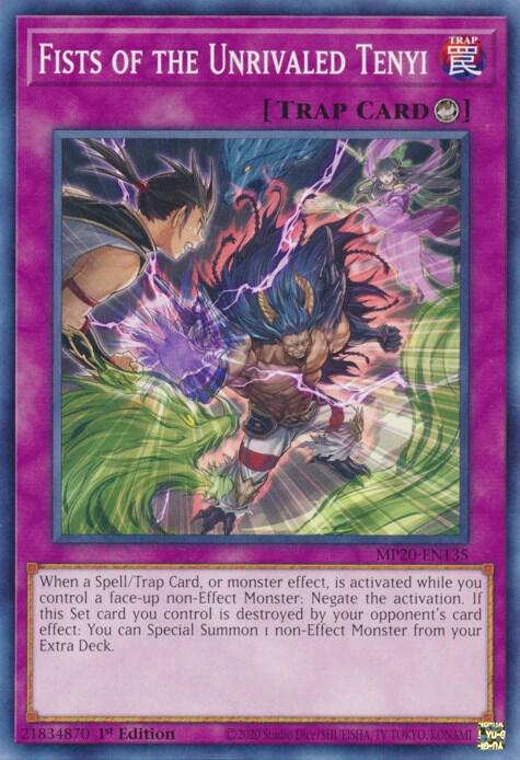 Fists of the Unrivaled Tenyi