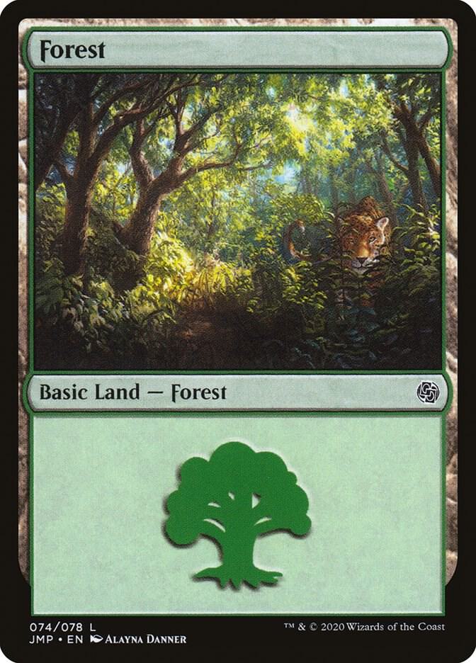 Forest (074)