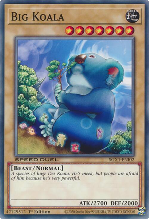 Big Koala