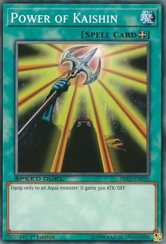 Power of Kaishin
