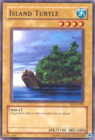 Island Turtle