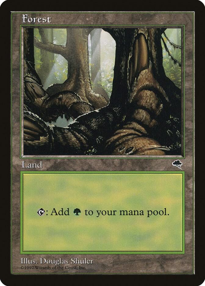 Forest (Pond)