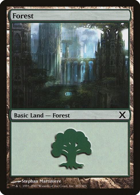 Forest (383)