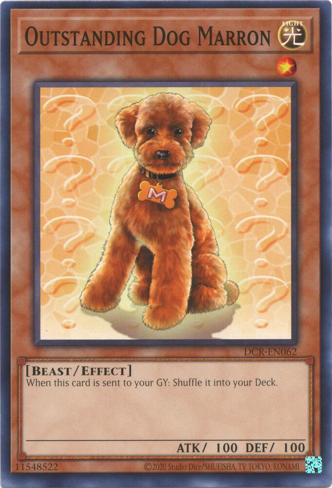 Outstanding Dog Marron