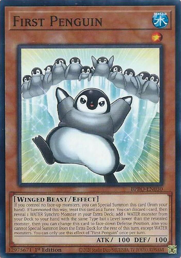 First Penguin