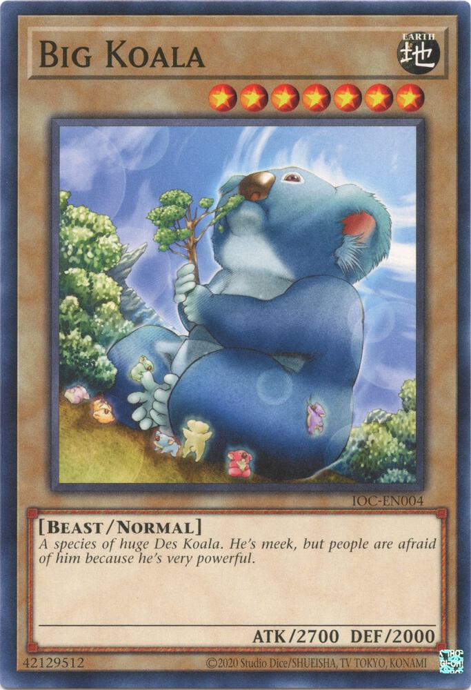 Big Koala