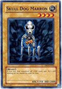 Skull Dog Marron