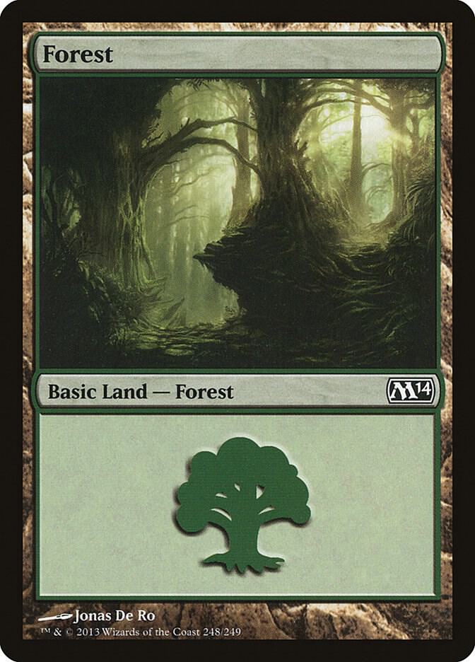 Forest (248)