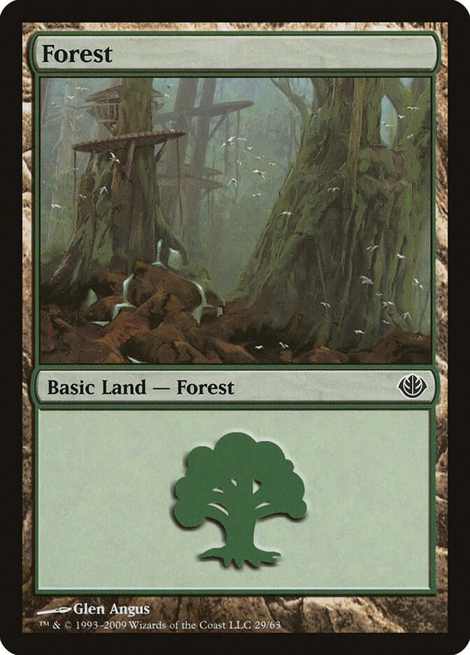 Forest (29)