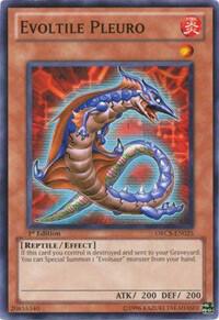 Evoltile Pleuro