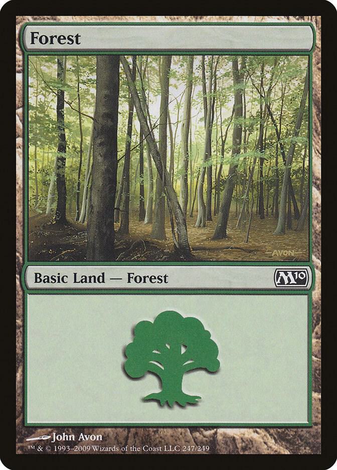 Forest (247)