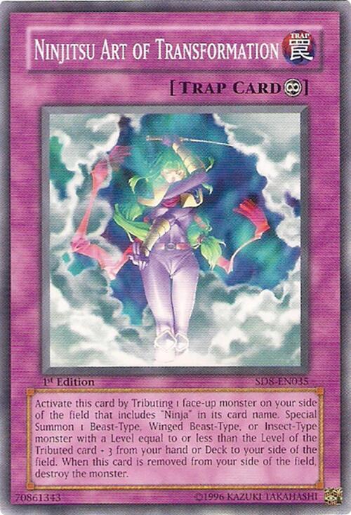 Ninjitsu Art of Transformation