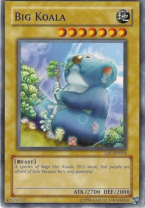 Big Koala
