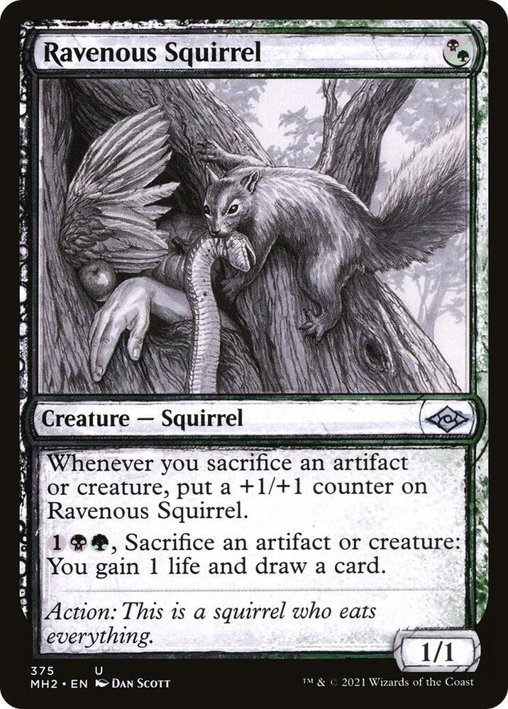 Ravenous Squirrel (Showcase)