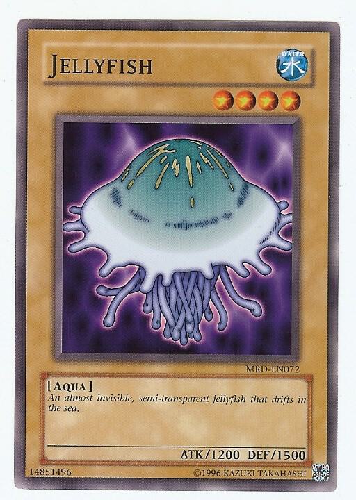 Jellyfish