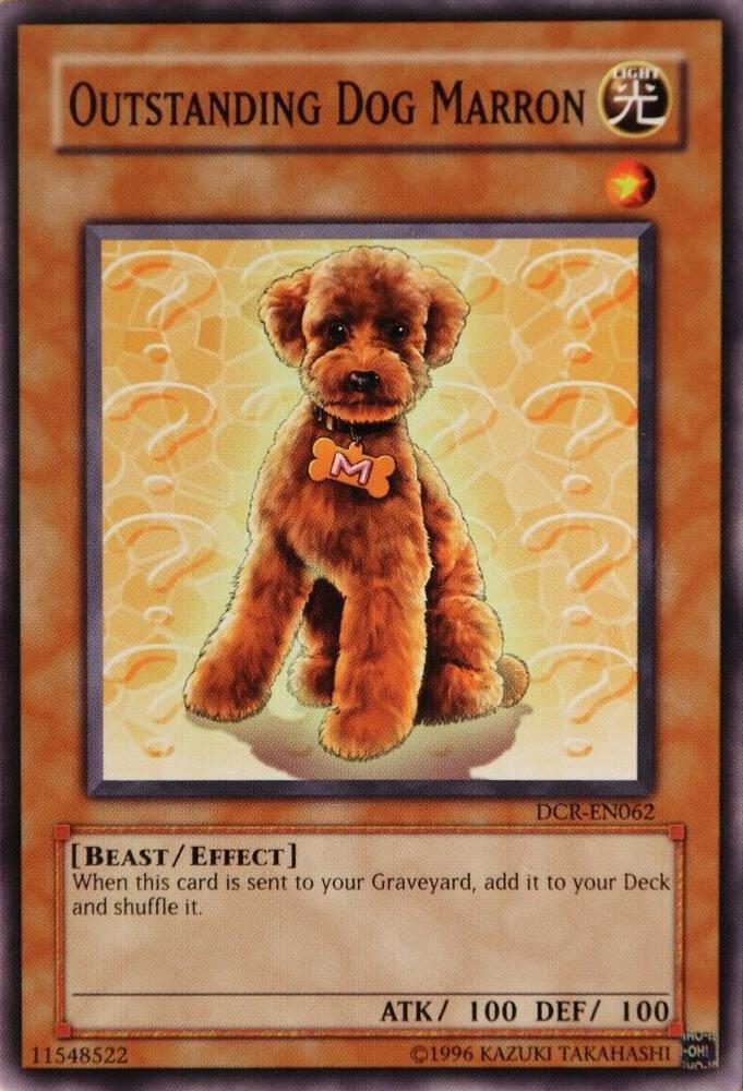 Outstanding Dog Marron