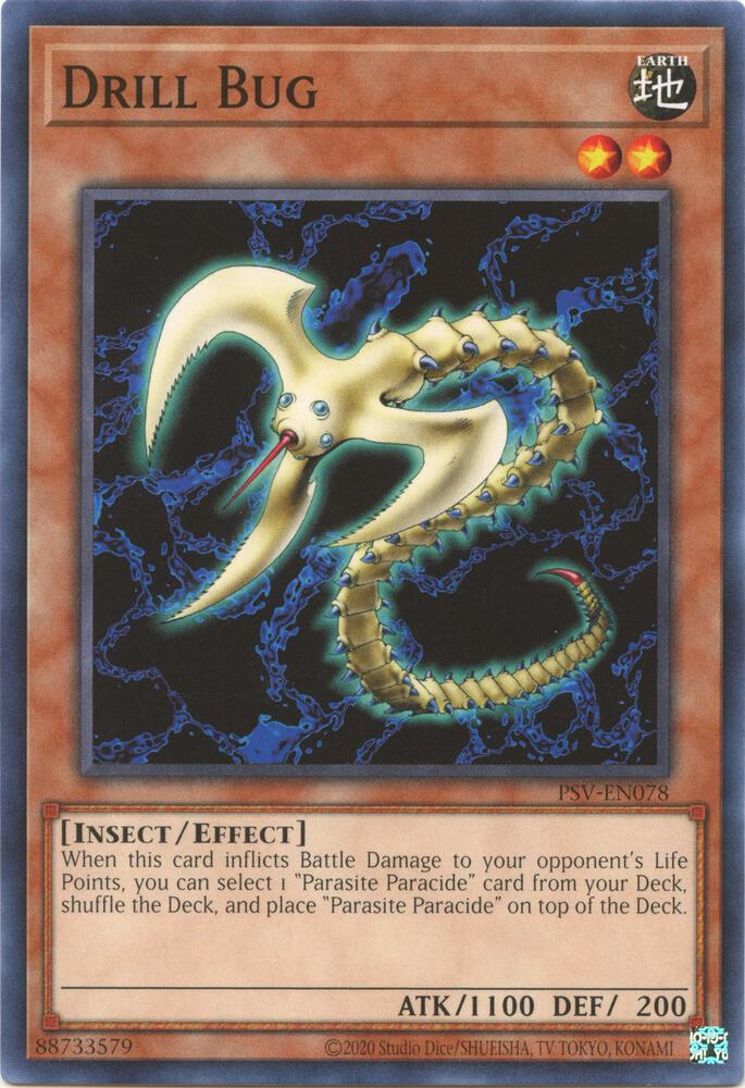 Drill Bug
