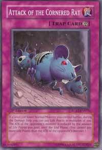 Attack of the Cornered Rat