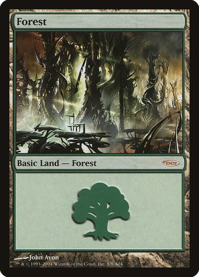 Forest (2004)