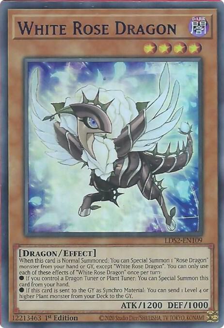 White Rose Dragon (Purple)