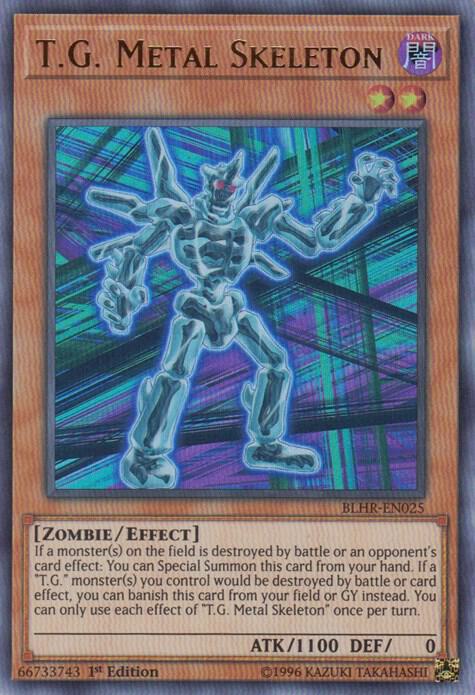 T.G. Metal Skeleton