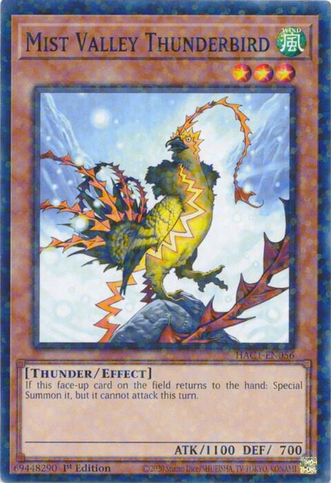 Mist Valley Thunderbird (Duel Terminal)