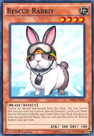 Rescue Rabbit