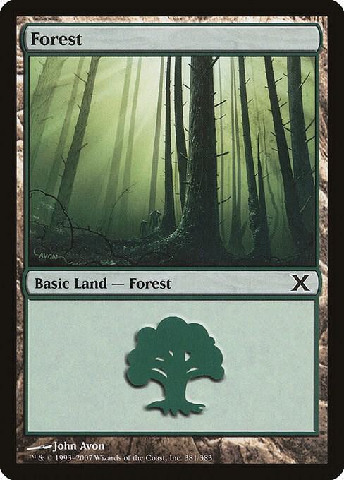 Forest (381)