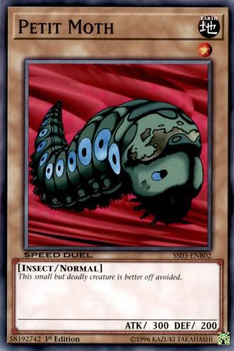 Petit Moth