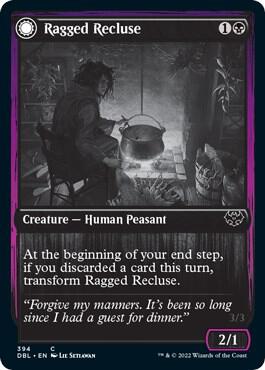 Ragged Recluse