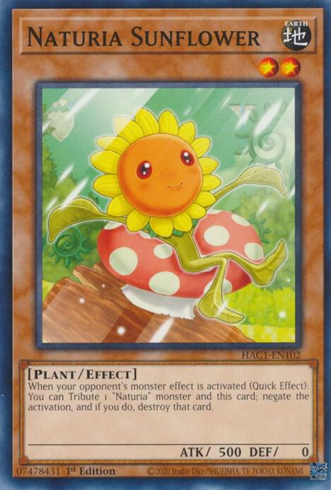 Naturia Sunflower